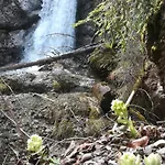 Appartement Alpenfreude Mit Hallenbad