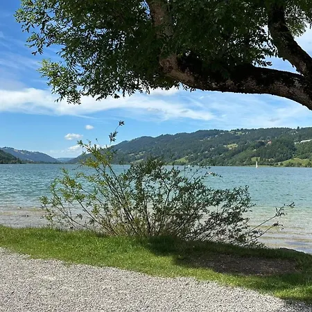 アパート Alpenfreude Mit Hallenbad ミッセン・ヴィルハムス