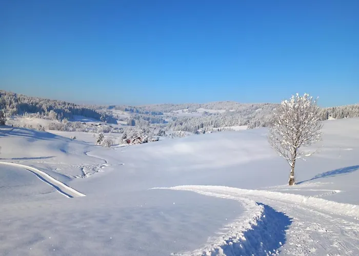 Apartamento Alpenfreude Mit Hallenbad