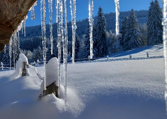 Alpenfreude Mit Hallenbad Apartamento