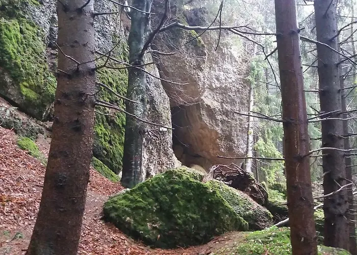 Alpenfreude Mit Hallenbad Apartamento