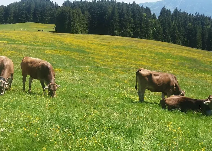 Alpenfreude Mit Hallenbad *