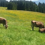 Alpenfreude Mit Hallenbad *