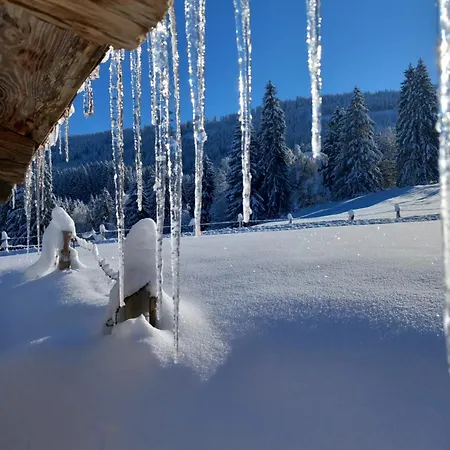 Alpenfreude Mit Hallenbad Apartament