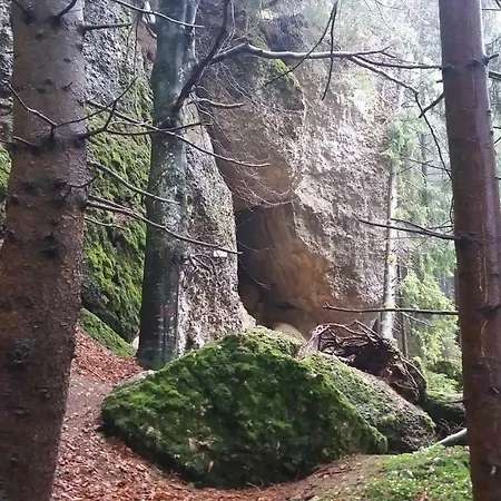 Alpenfreude Mit Hallenbad شقة