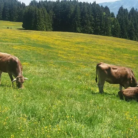 Alpenfreude Mit Hallenbad *